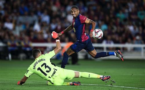 Sport 365 Bet: Ultimate Guide to Year-Round Betting